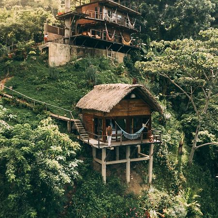 Paraiso Ahimsa Buritaca Bagian luar foto
