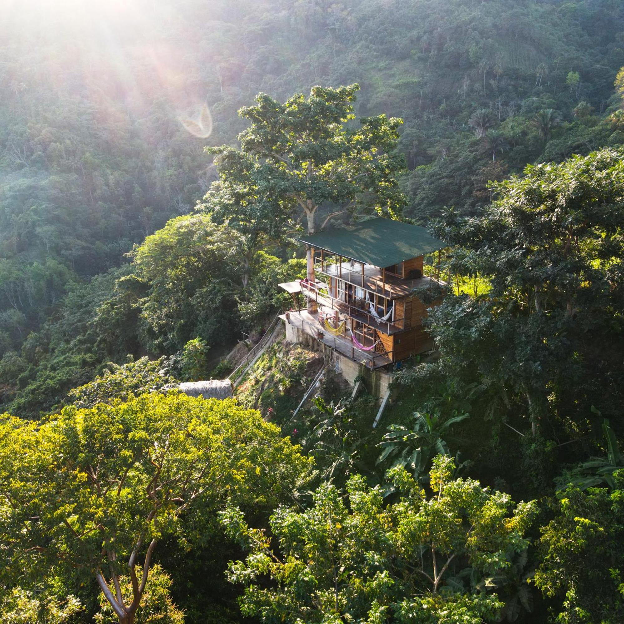 Paraiso Ahimsa Buritaca Bagian luar foto